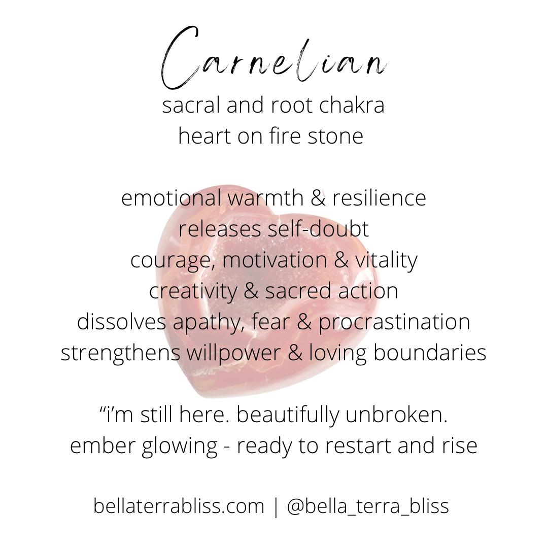 Hibiscus | Dainty Carnelian Necklace