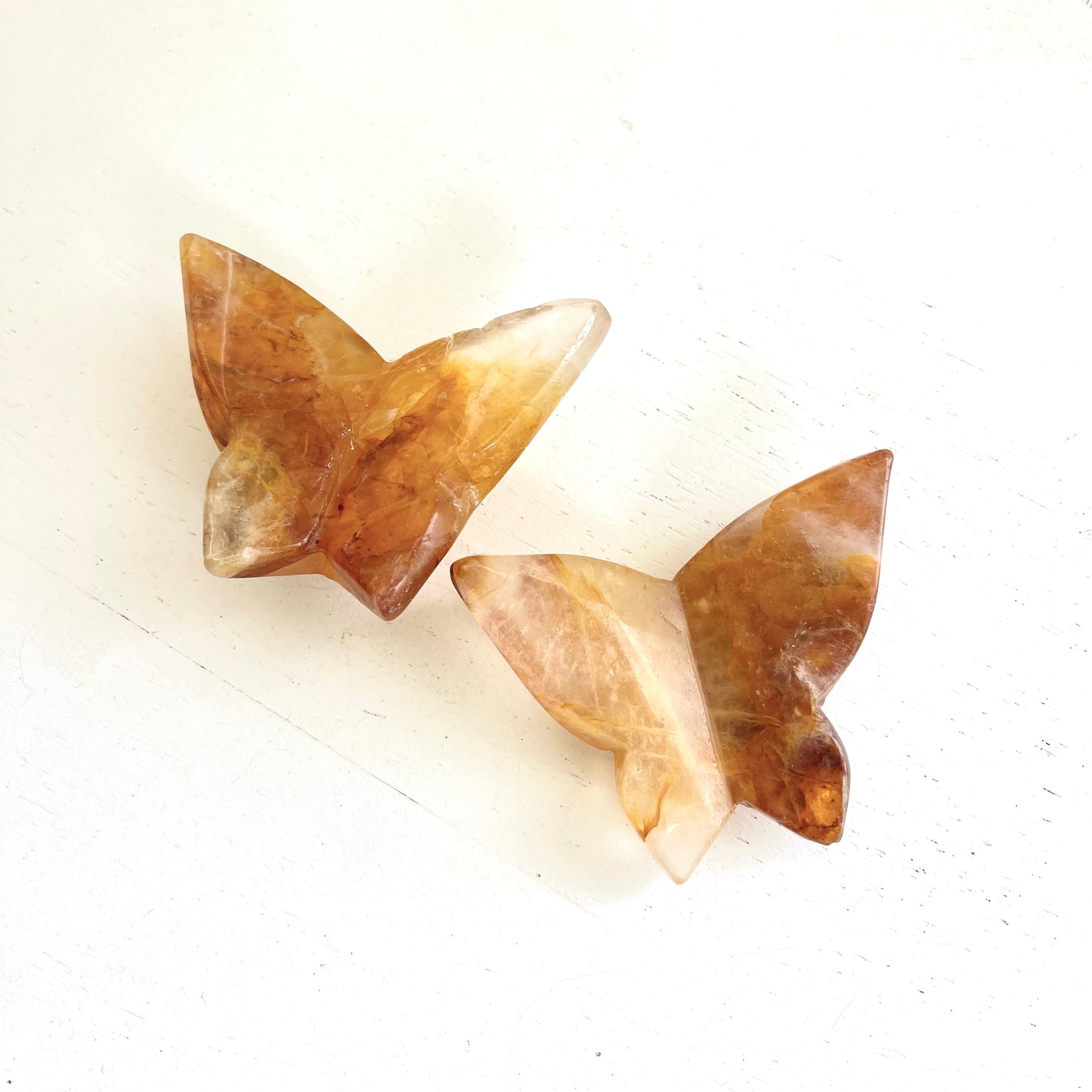 Golden Healer Butterflies