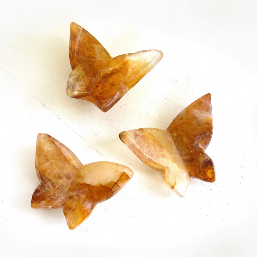 Golden Healer Butterflies