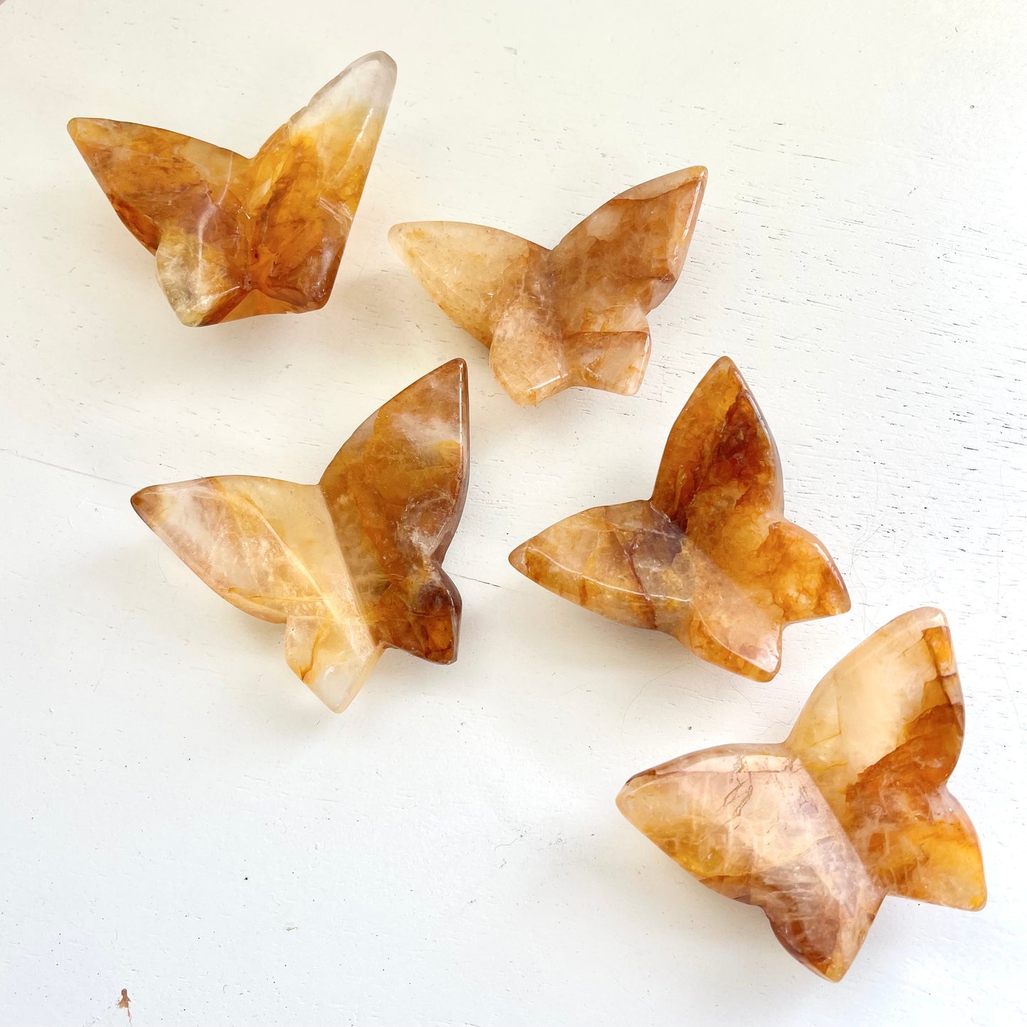 Golden Healer Butterflies