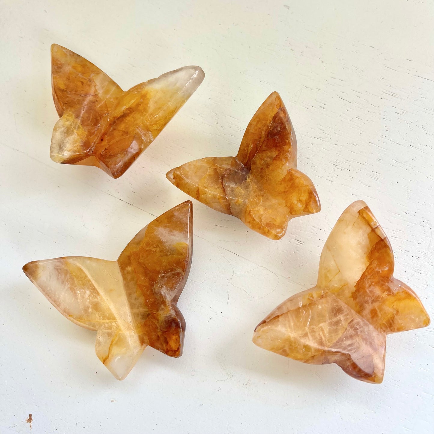 Golden Healer Butterflies