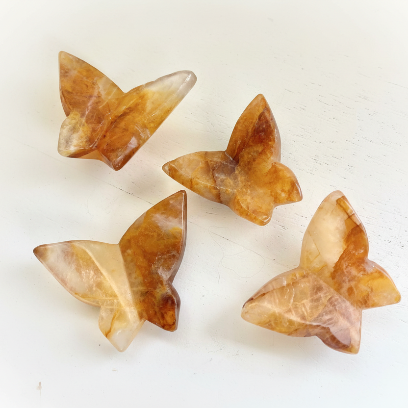 Golden Healer Butterflies